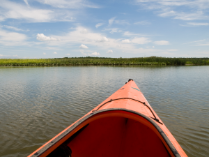 Patuxent River Park